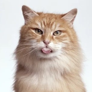 Test post for photo validation
